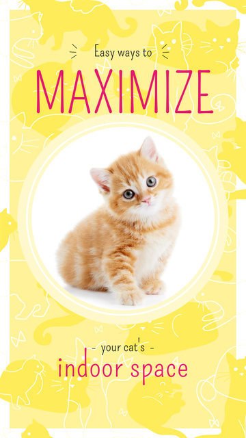 Cute red kitten in Circle Instagram Story – шаблон для дизайна