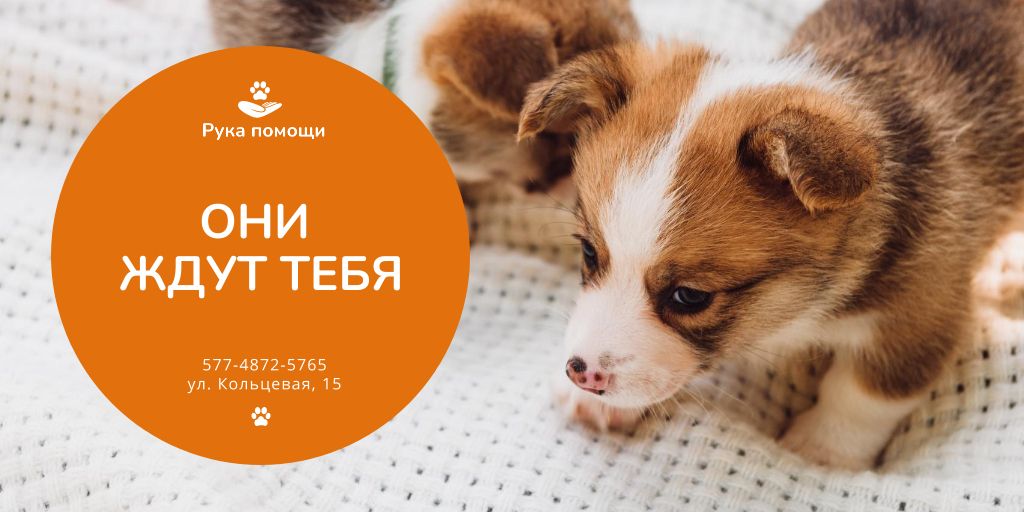 Modèle de visuel Animal Shelter Promotion with Cute Puppies - Twitter