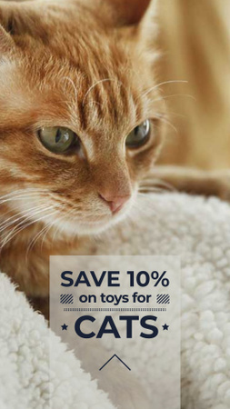 Designvorlage Toys for Cats Discount Offer für Instagram Story