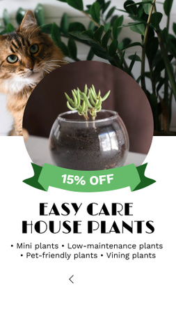 Template di design Houseplants With Advantages And Discount TikTok Video