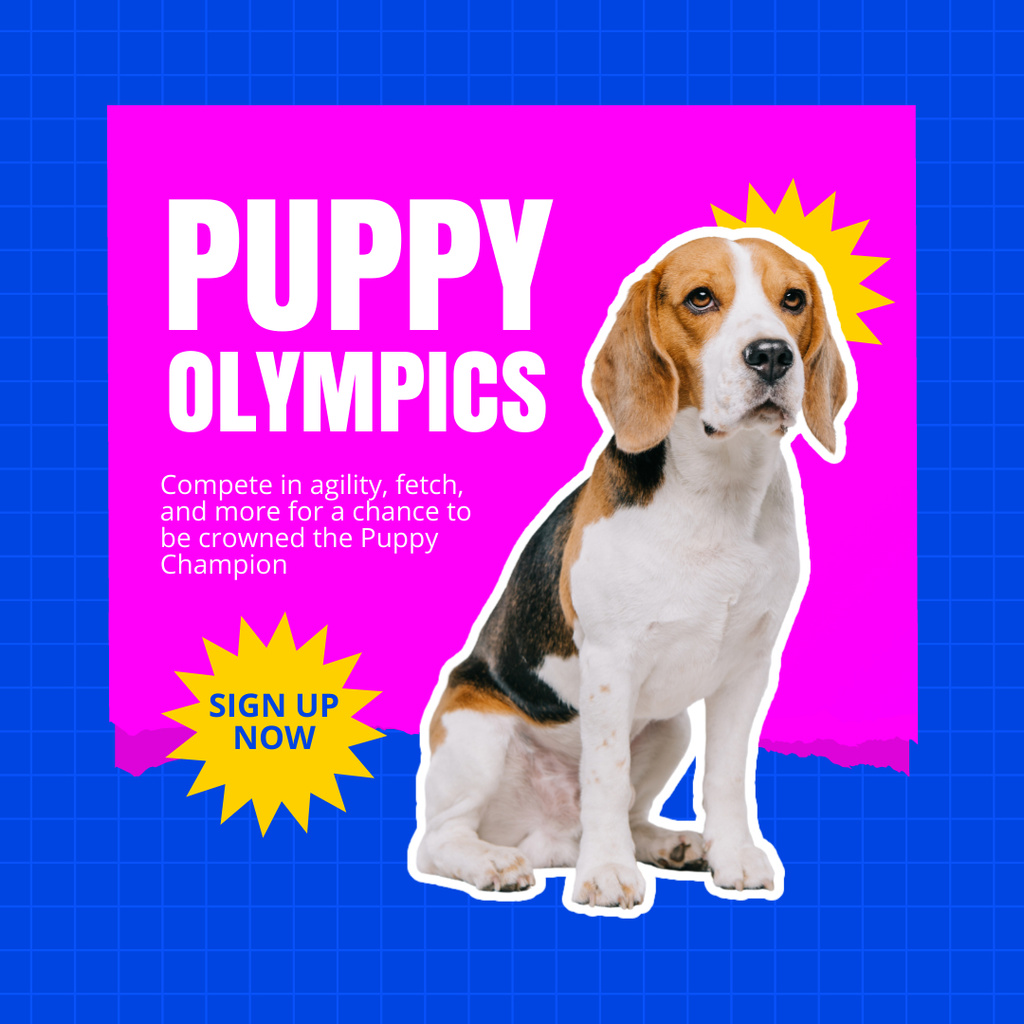 Puppy Contest Alert with Beagle Instagram Šablona návrhu