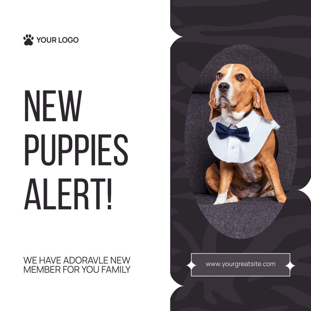 Adorable Purebred Dogs for Sale Instagram Design Template