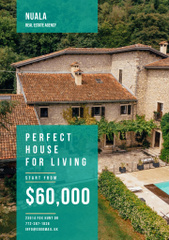Real Estate Ad with Pool by House