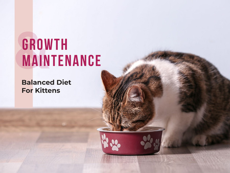 Cute cat eating from bowl on floor Presentation Design Template