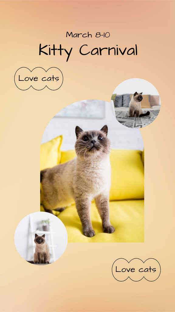 Kittens Expo for Cat Lovers Instagram Story Tasarım Şablonu