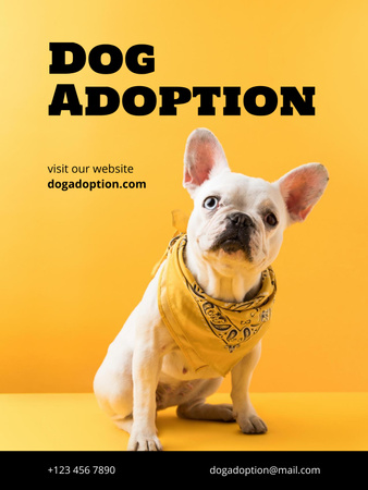 Pets Adoption Club Ad with Cute Dog Poster US Design Template