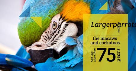 Template di design Wildlife Birds Facts with Blue Macaw Parrot Facebook AD