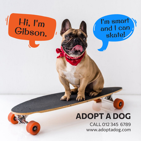 Dog on Skateboard for Adoption Instagram Design Template