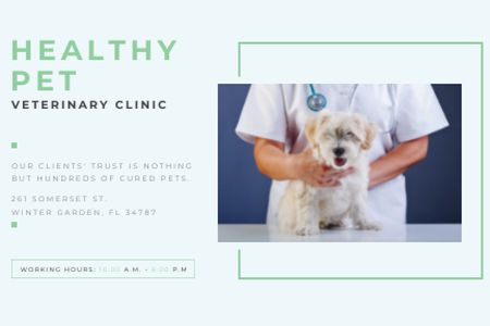 Healthy pet veterinary clinic Gift Certificate Šablona návrhu