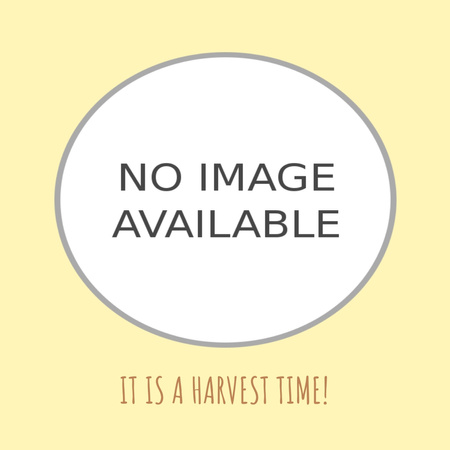 Woman harvesting apples  Animated Post Design Template