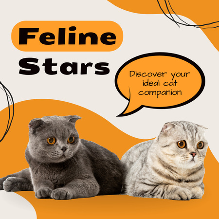Lemmikkien kasvattaja tarjoaa sinulle ihania kissankavereita Animated Post Design Template