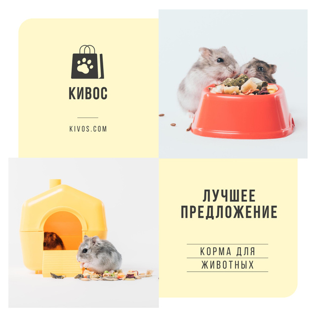 Pet Shop Offer Hamster in His House Instagramデザインテンプレート
