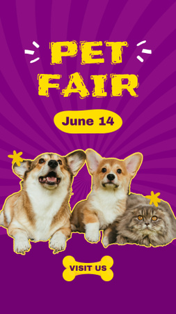 Pet Fair With Corgi In June Announcement Instagram Video Story Design Template