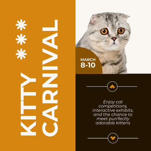 Cat Show Competition Notification Instagram Design Template
