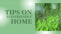 Affordable Advice on Making Home Eco-Friendly