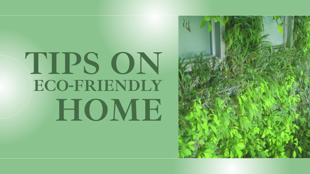 Modèle de visuel Affordable Advice on Making Home Eco-Friendly - Full HD video