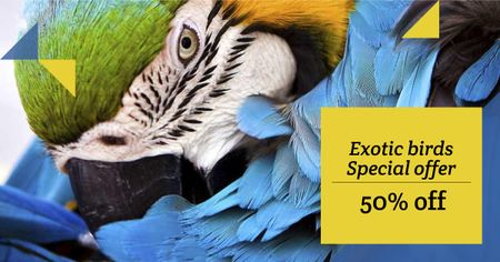 Plantilla de diseño de Discount Offer for Exotic Birds with Parrot Facebook AD 