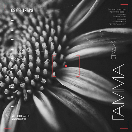 Студия анонса выставки Blooming Daisy Flower Instagram AD – шаблон для дизайна