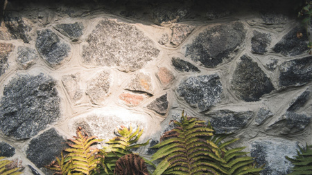Plantilla de diseño de Stone wall with fern leaves Zoom Background 
