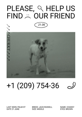 Announcement about Missing Dog Flyer A7 Design Template