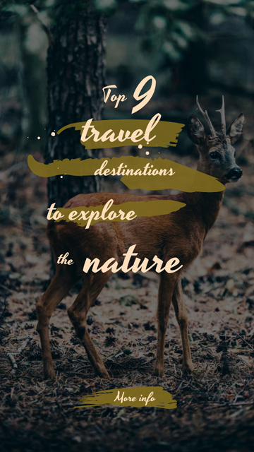 Wild deer in habitat Instagram Story – шаблон для дизайна