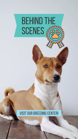 Ihana koiranpentu ja ammattikasvatuskeskuksen kampanja TikTok Video Design Template