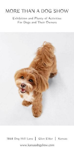 Platilla de diseño Dog Show Announcement with Cute Pet Flyer DIN Large