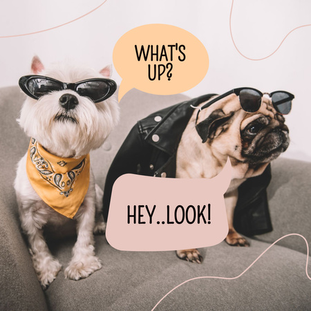 Fashion Ad with Stylish Dogs Instagram Design Template