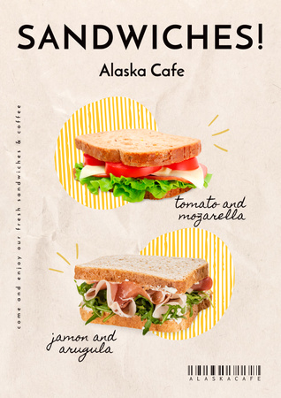 Fast Food Offer with Sandwiches Poster Tasarım Şablonu