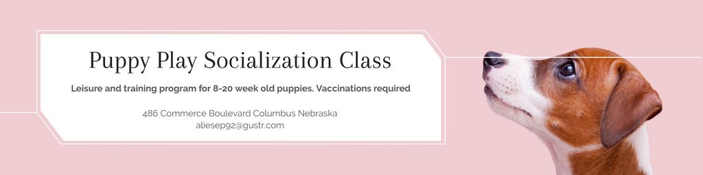Puppy play socialization class Twitter – шаблон для дизайну