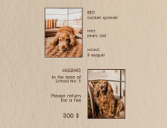 Lost Dog Information with Cocker Spaniel