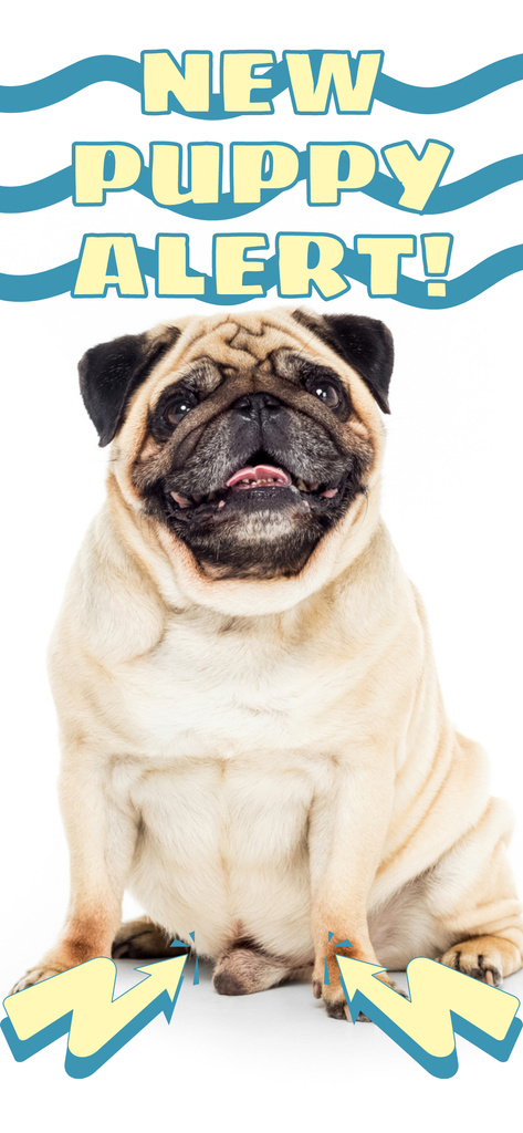 Designvorlage New Pugs Puppies Are Waiting For Caring Owners für Snapchat Geofilter