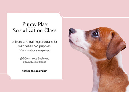 犬の社会化クラスを提供する Postcardデザインテンプレート