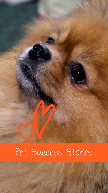 Designvorlage Adorable Pet Success Stories From Owners für TikTok Video