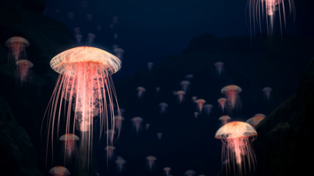 Beautiful floating Jellyfish Zoom Background Design Template