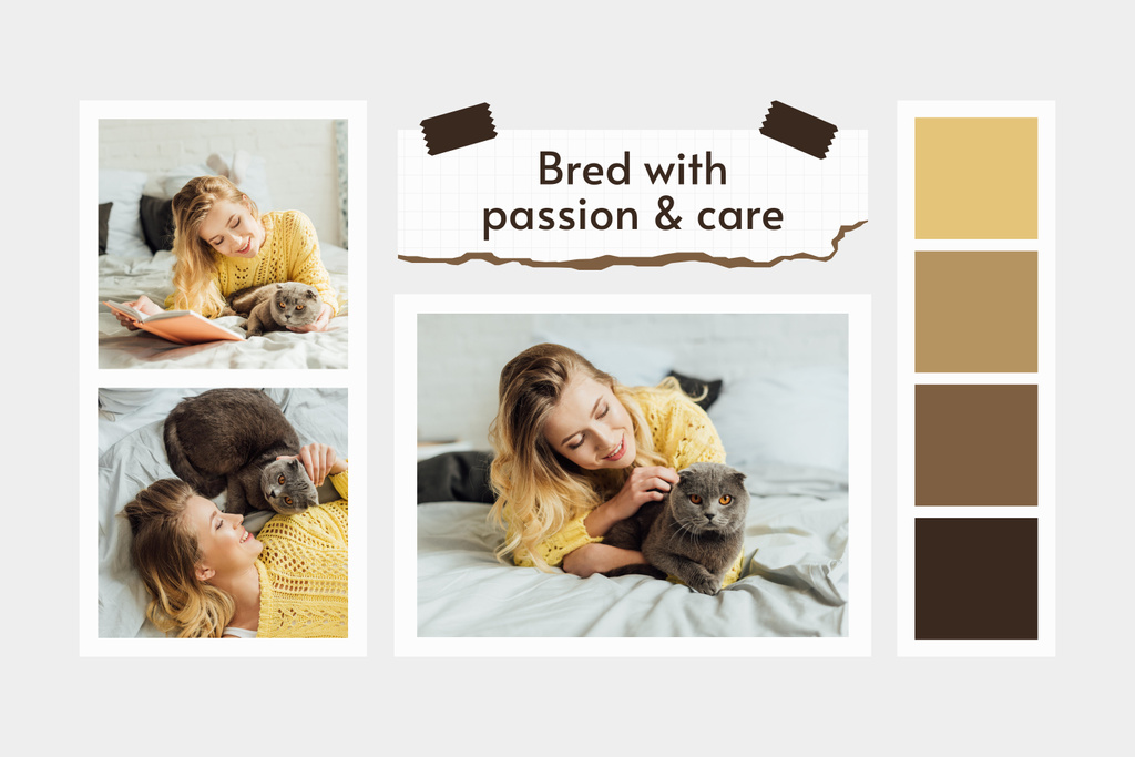Beautiful Woman Spending Time with Her Fluffy Cat Mood Board Design Template