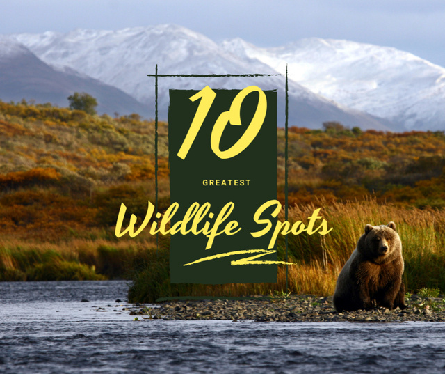 Designvorlage Wild bear in habitat für Facebook