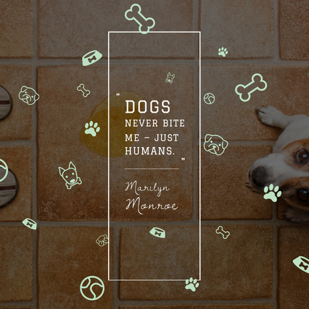 Citation about Good Dogs Instagram Design Template