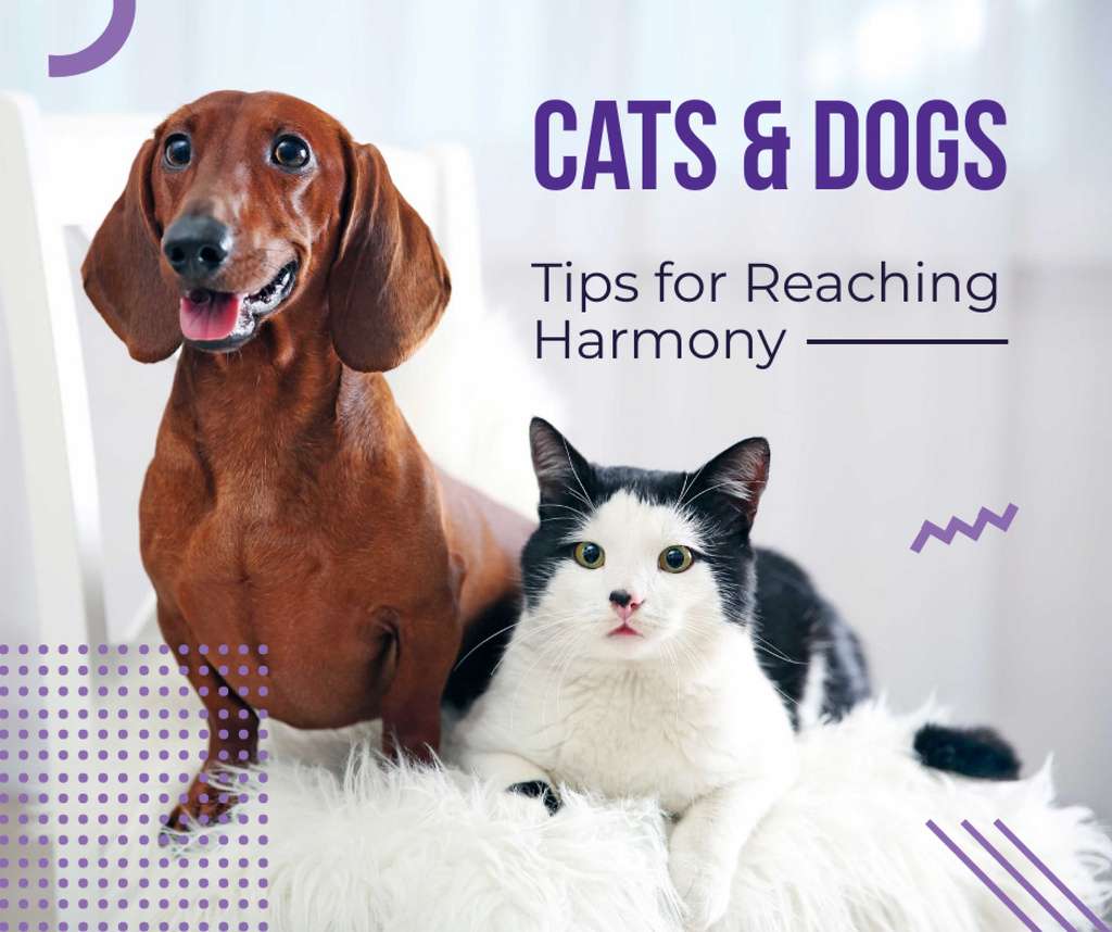 Caring About Pets with Dachshund and Cat Facebook Design Template