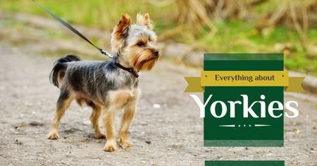 Yorkshire Terrier on Walk Facebook AD Design Template