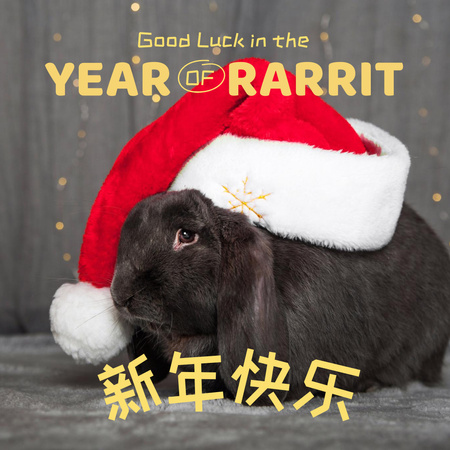 Szablon projektu Chinese New Year Holiday Greeting Instagram