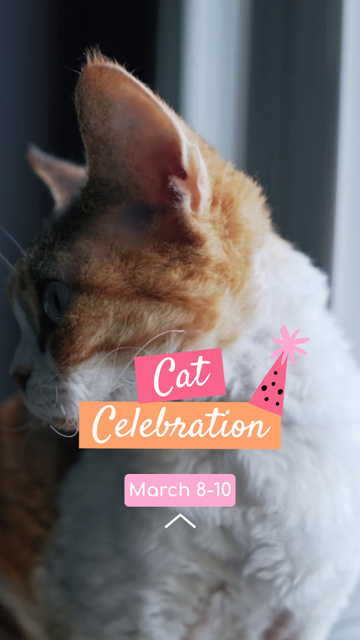 Cute Cats Celebration Event Announcement TikTok Video Design Template