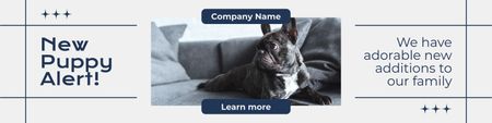 New Puppies of French Bulldogs Twitter Design Template