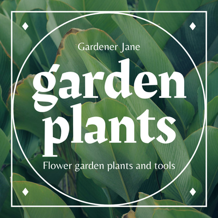 Szablon projektu rośliny ogrodowe ad Instagram
