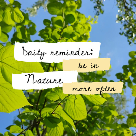 Daily Reminder With Branches In Sunshine Animated Post Design Template