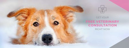 Platilla de diseño Free veterinary consultation Offer Facebook cover