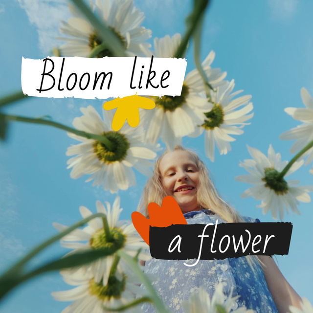 Inspirational Quote With Chamomiles Flowers Animated Post tervezősablon