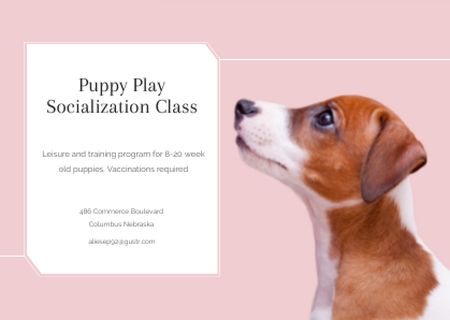 Puppy play socialization class Ad Card Modelo de Design