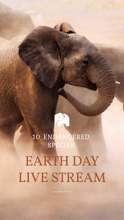 Earth Day Live Stream Ad with Elephants Instagram Story Modelo de Design
