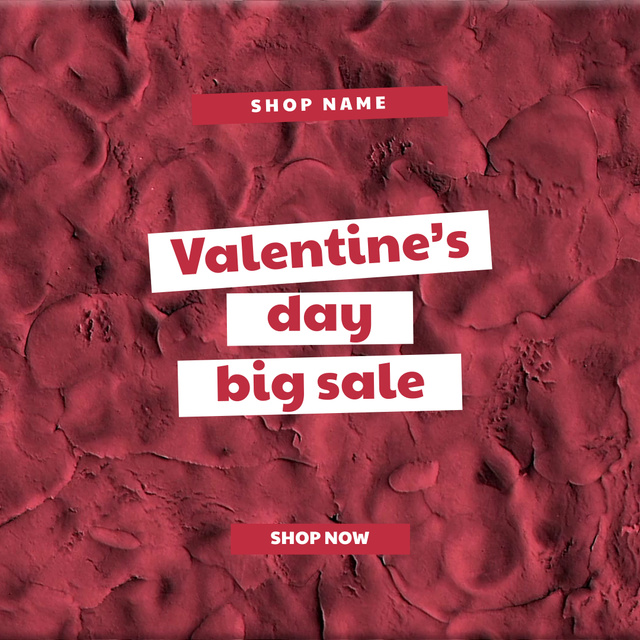 Lovely Valentine`s Day Big Sale Offer With Petals Animated Post Modelo de Design